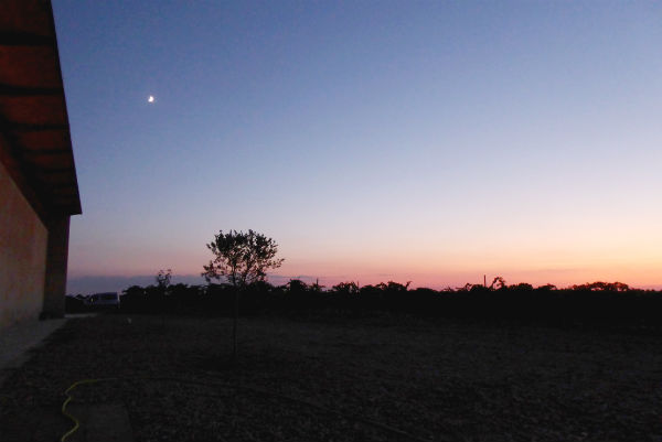 Moon-tree-winery by sunset-web