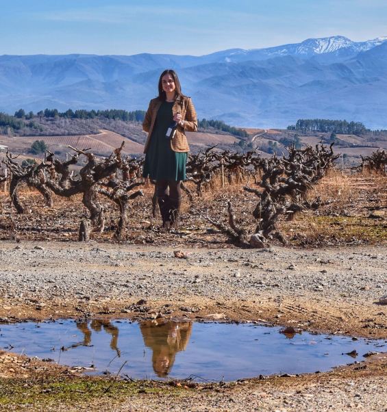 ff8420bd-0cdd-4826-a315-efdb30508e79