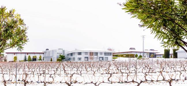 Bodegas-Valdemar-nieve