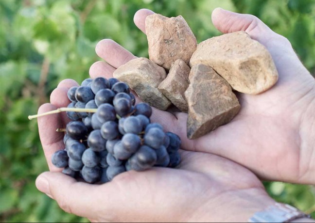 Piedras y uvas del terruño de Vinos del Viento