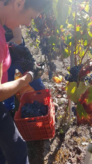 WhatsApp Image 2018-07-03 at 17.36.25