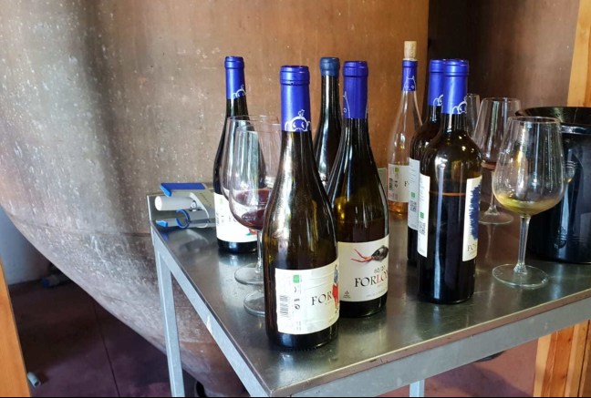 Bottles and glasses in winery