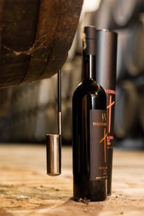 12657844_10153478185961795_2262783095064938471_o