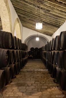 12710801_10153478185521795_4291299640847898456_o