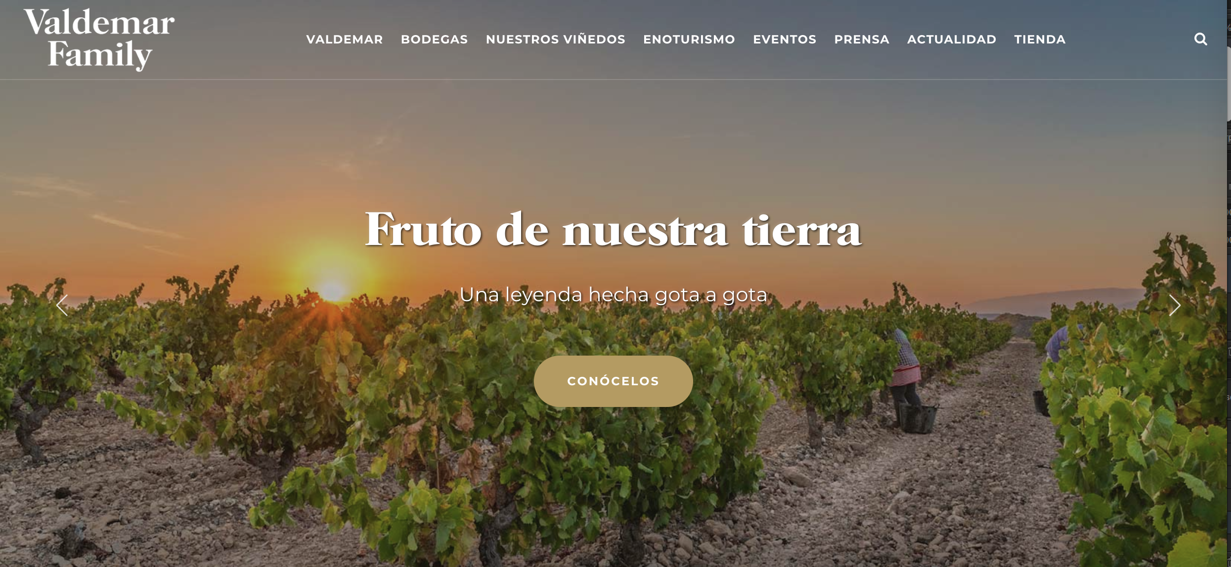 Nueva web de Bodegas Valdemar